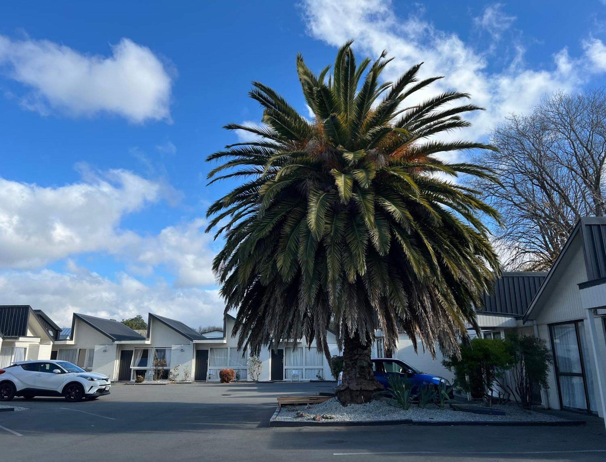 Diplomat Motel Christchurch Eksteriør billede